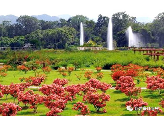 9月16日西双版纳热带植物园马拉松 开启报名