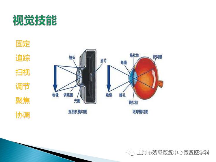 视觉障碍儿童作业治疗