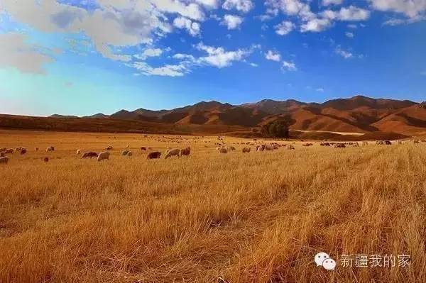 探索塔城地区的气候与风土人情，塔城地区，气候与风土人情的探索之旅