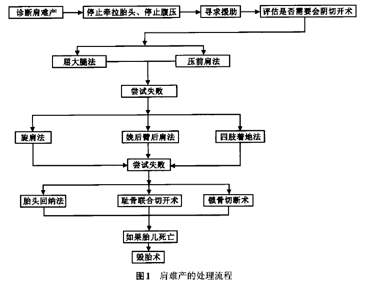 肩难产的诊断与治疗