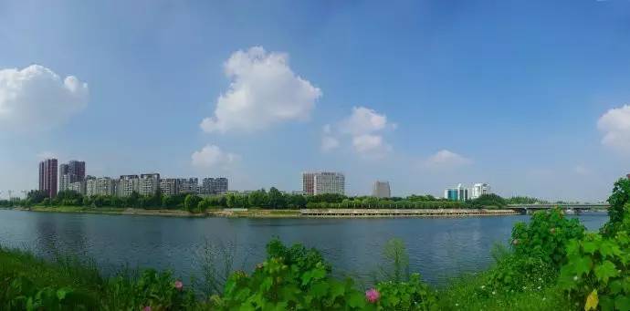 湾景国际|恭贺漯河入选全国第二批城市设计试点城市!河南唯一入选!