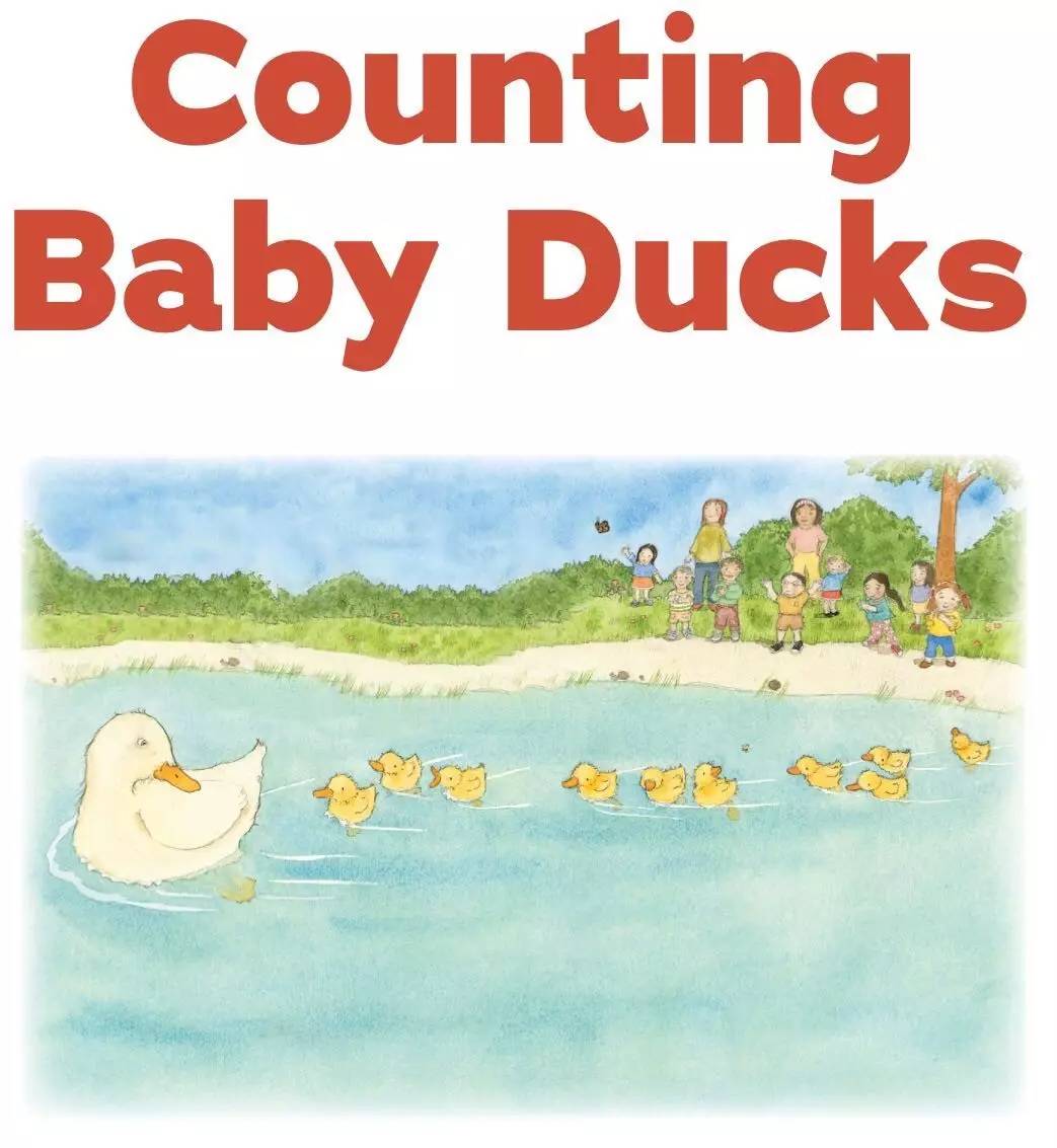 美国外教读绘本丨counting baby ducks 数小鸭子