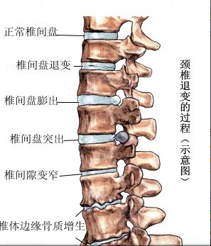 双侧搭肩试验怎么做_教师节贺卡怎么做