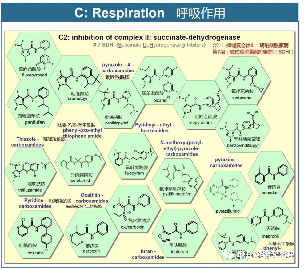 frac杀菌剂作用机理海报2017中英文对照版