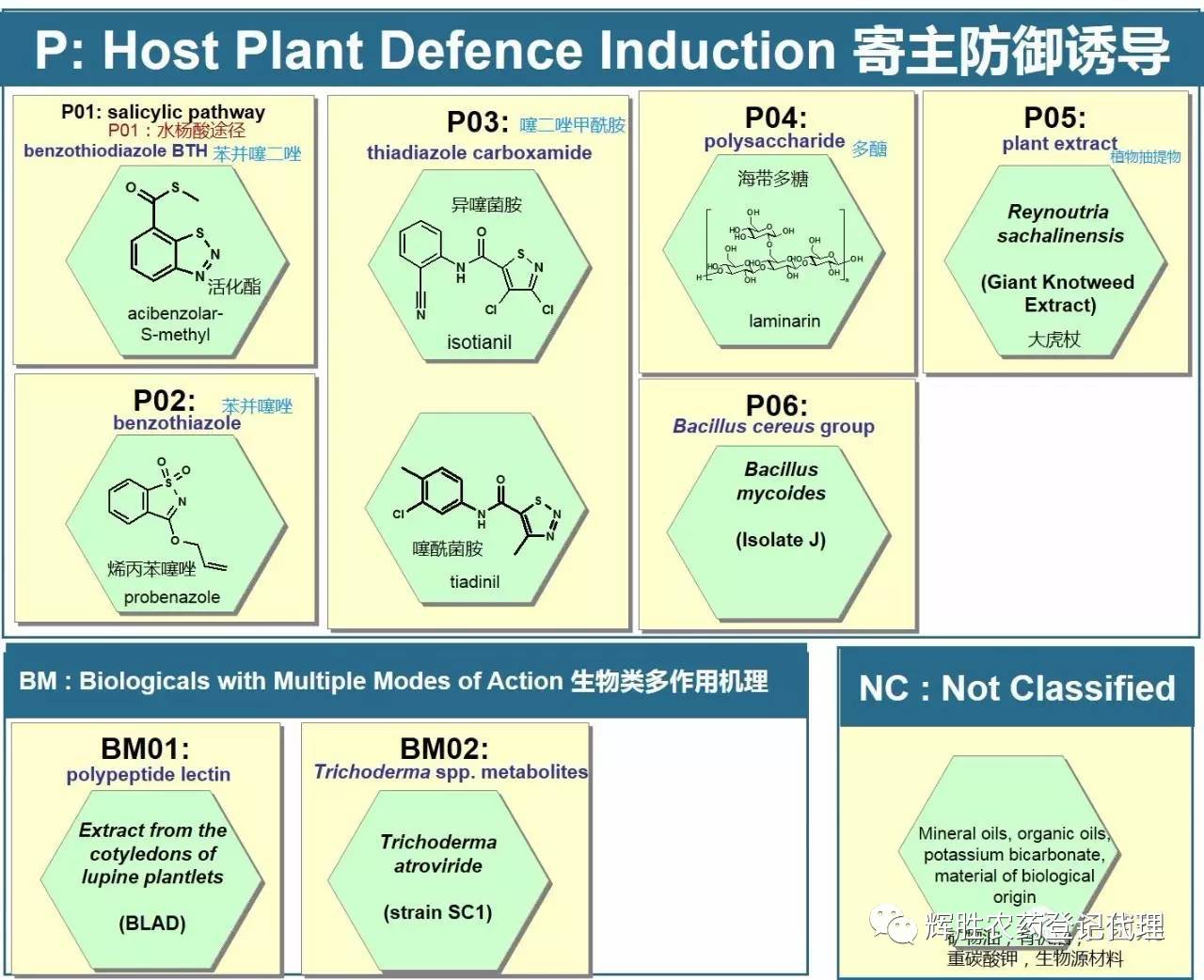 frac杀菌剂作用机理海报2017中英文对照版