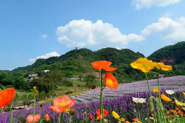 清凉周末疯狂欢乐派水世界花田酒地激情漂流2日自驾