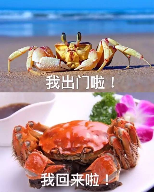 一组最近出门前后对比图来对号入座