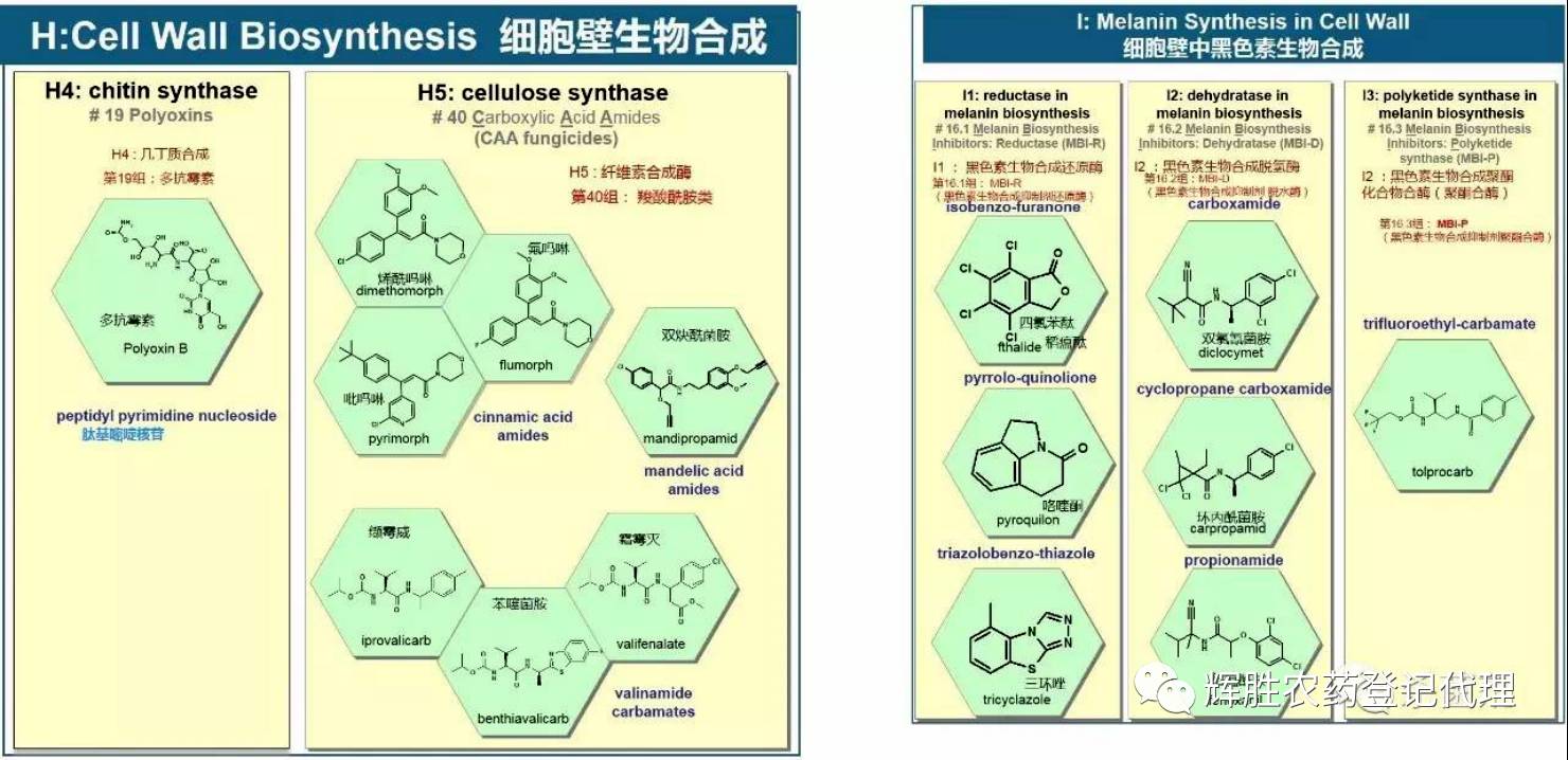 frac杀菌剂作用机理海报2017中英文对照版