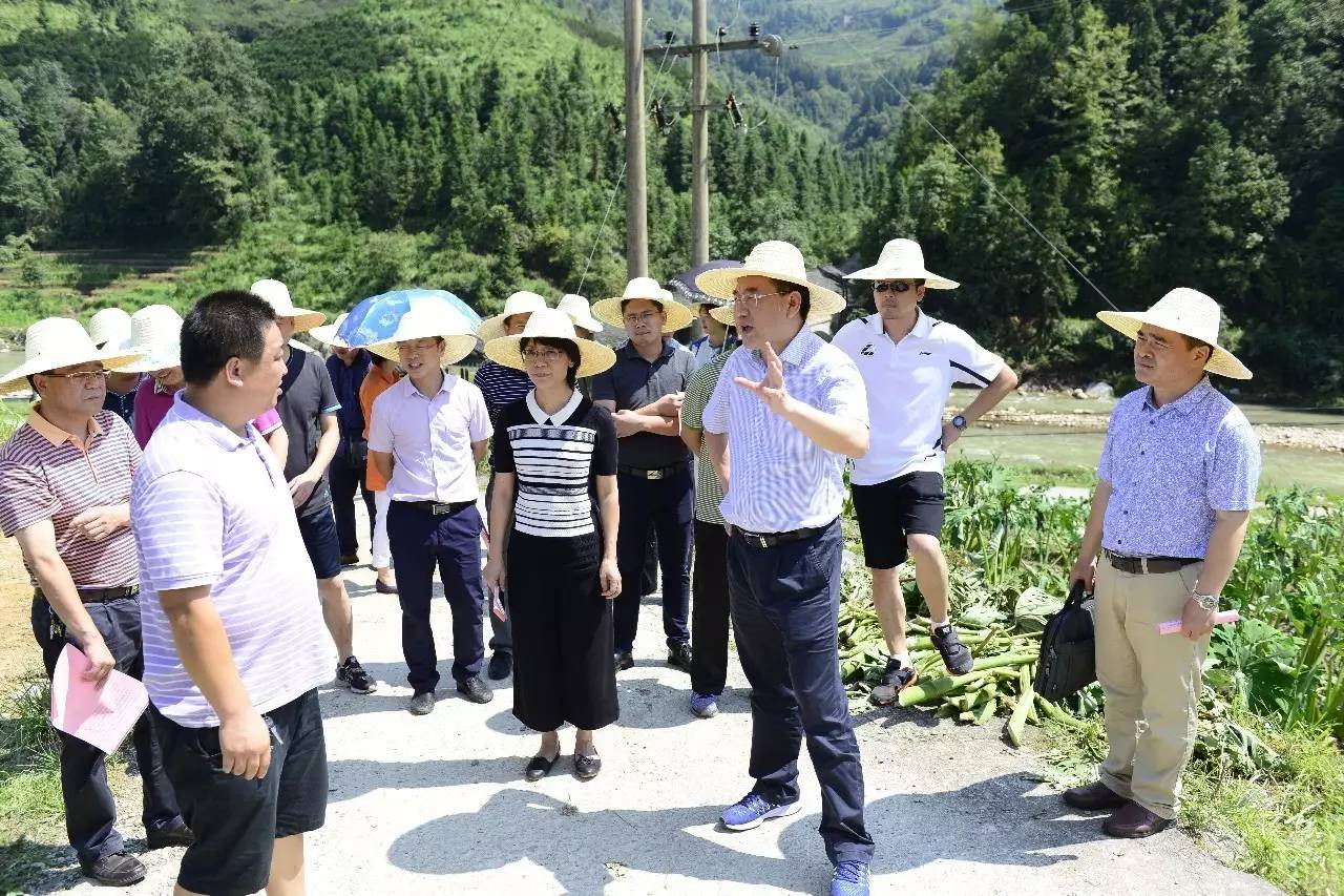 广西龙胜县四家班子领导分组考察齐谋发展