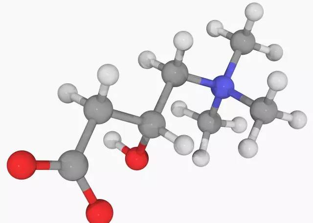 左旋延胡索乙素作用_左旋肉碱的作用_l一肉碱盐酸盐作用