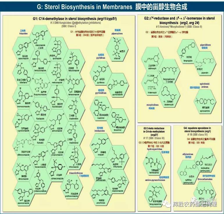 frac杀菌剂作用机理海报2017中英文对照版