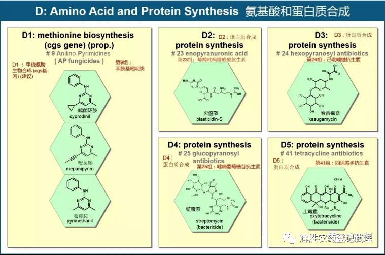 frac杀菌剂作用机理海报2017中英文对照版