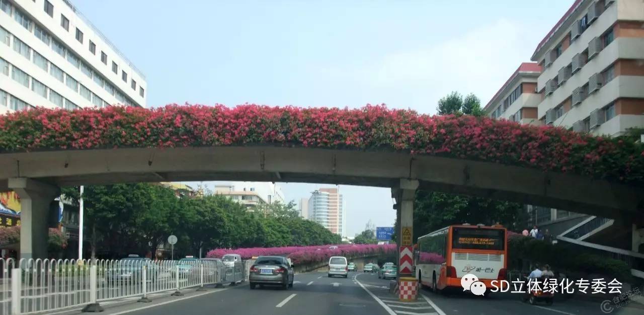 道路立体绿化,让城市耿更"鲜活"