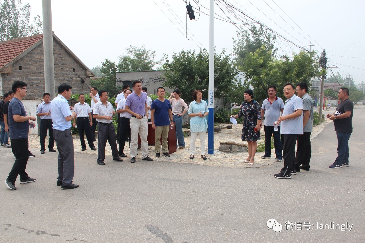 兰陵县召开旅游特色村规划论证会