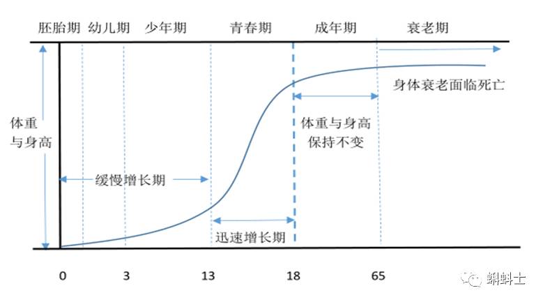 预测人口的数学模型_人口预测模型 数学建模几类经典的人口预测模型,还有人(3)