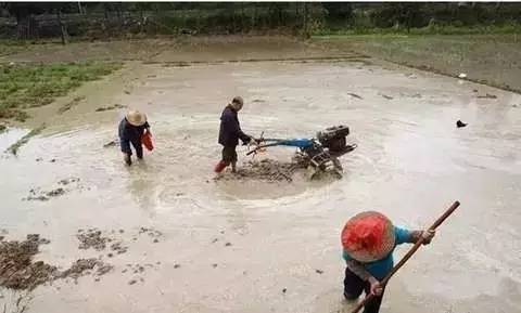 高州人总人口_高州冼太夫人庙图片