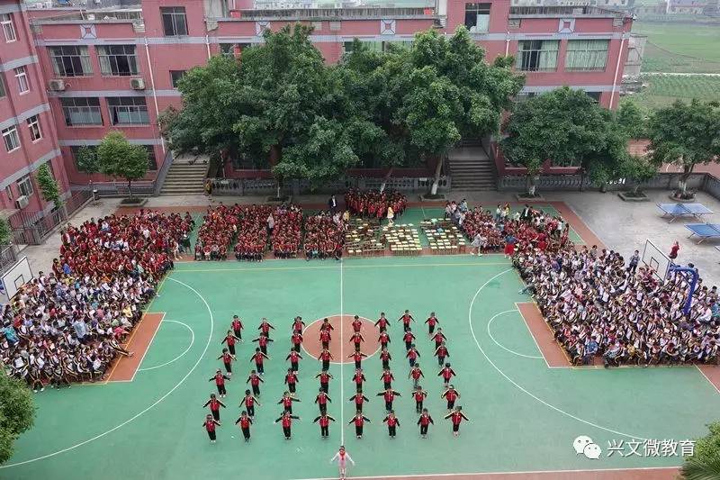 你是兴文哪所小学毕业的为你最美好的童年记忆投一票