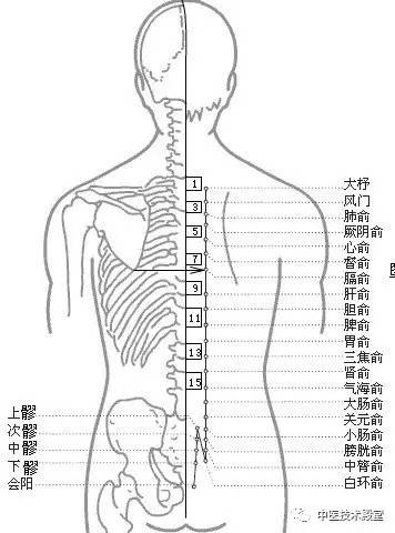 艾灸治疗:主要针对上脘,中脘,下脘,神阙,关元,足三里,肝俞,胆俞,脾俞