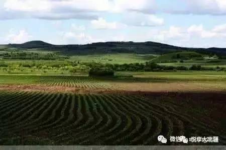 呼伦贝尔市鄂伦春自治旗大杨树镇新华村