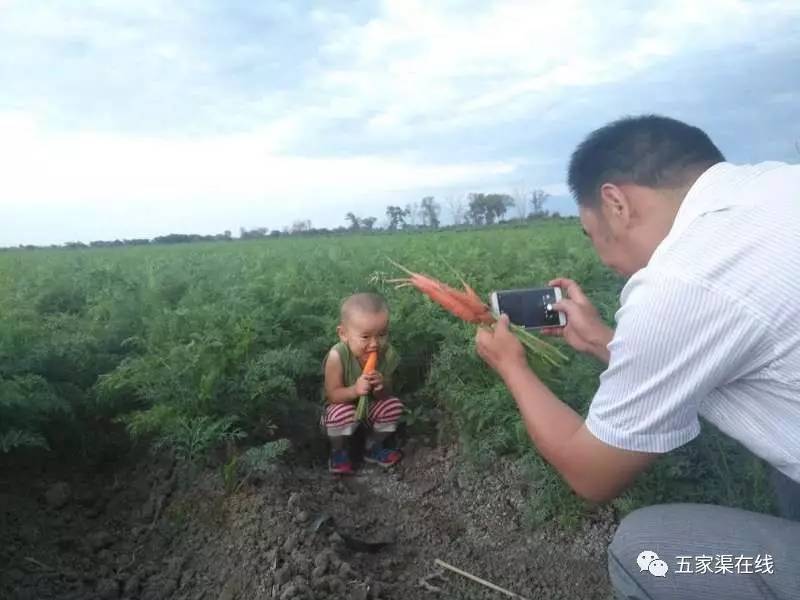 五家渠市有多少人口_...日下午,记者在五家渠市富强路步行街西面路口拍下这样