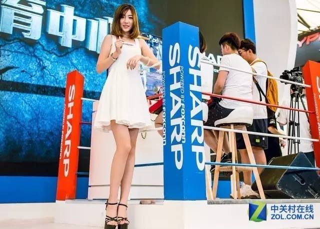 2017年上海chinajoy showgirl图集