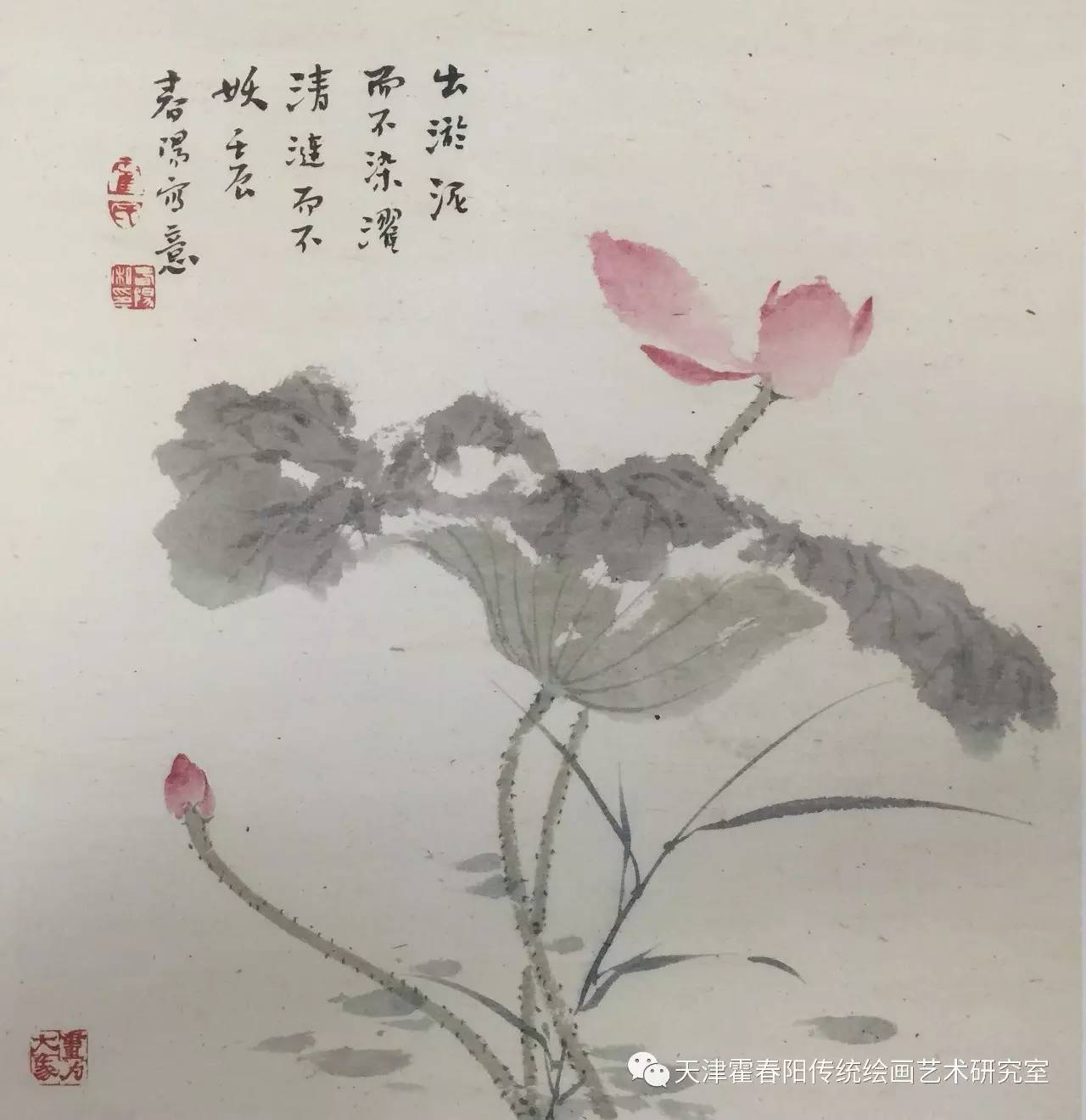 无尘霍春阳荷花欣赏三