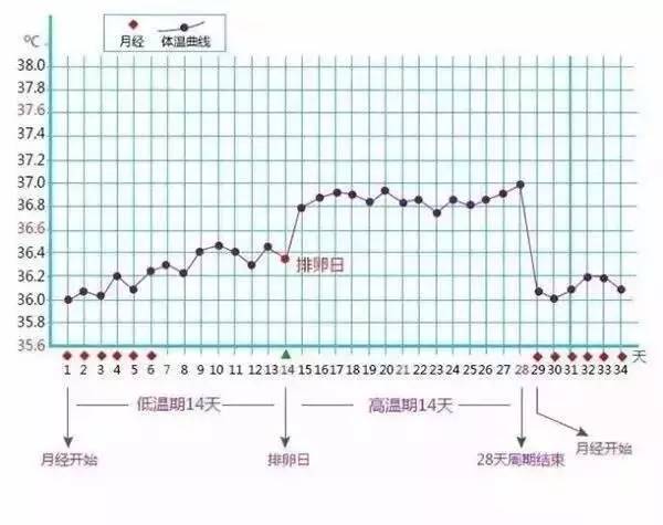 发烧体温上升是什么原理_发烧体温图片(2)