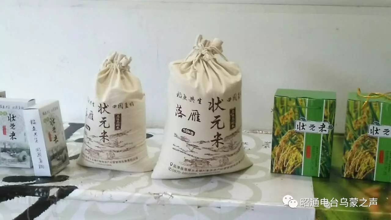 盐津落雁人口_盐津县城全景