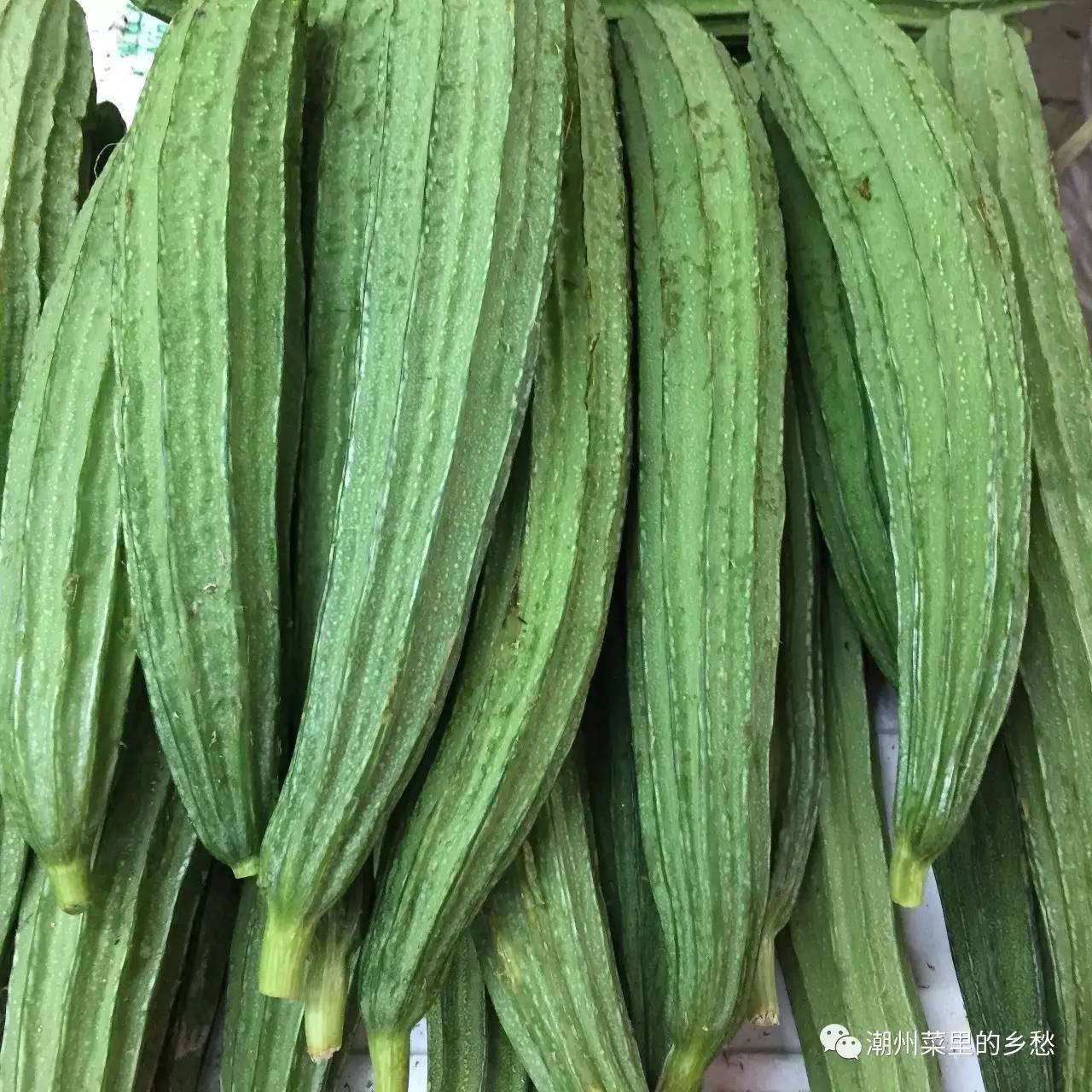 南瓜的种植方法 - 花百科
