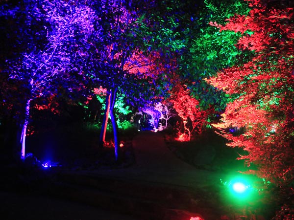 豫西大峡谷震撼夜景"七彩梦幻森林"美若童话仙境