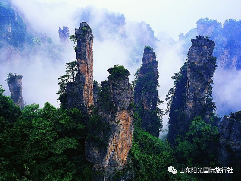 【阳光之旅1】张家界,杨家界,袁家界,张家界大峡谷,凤凰古城,西门峡