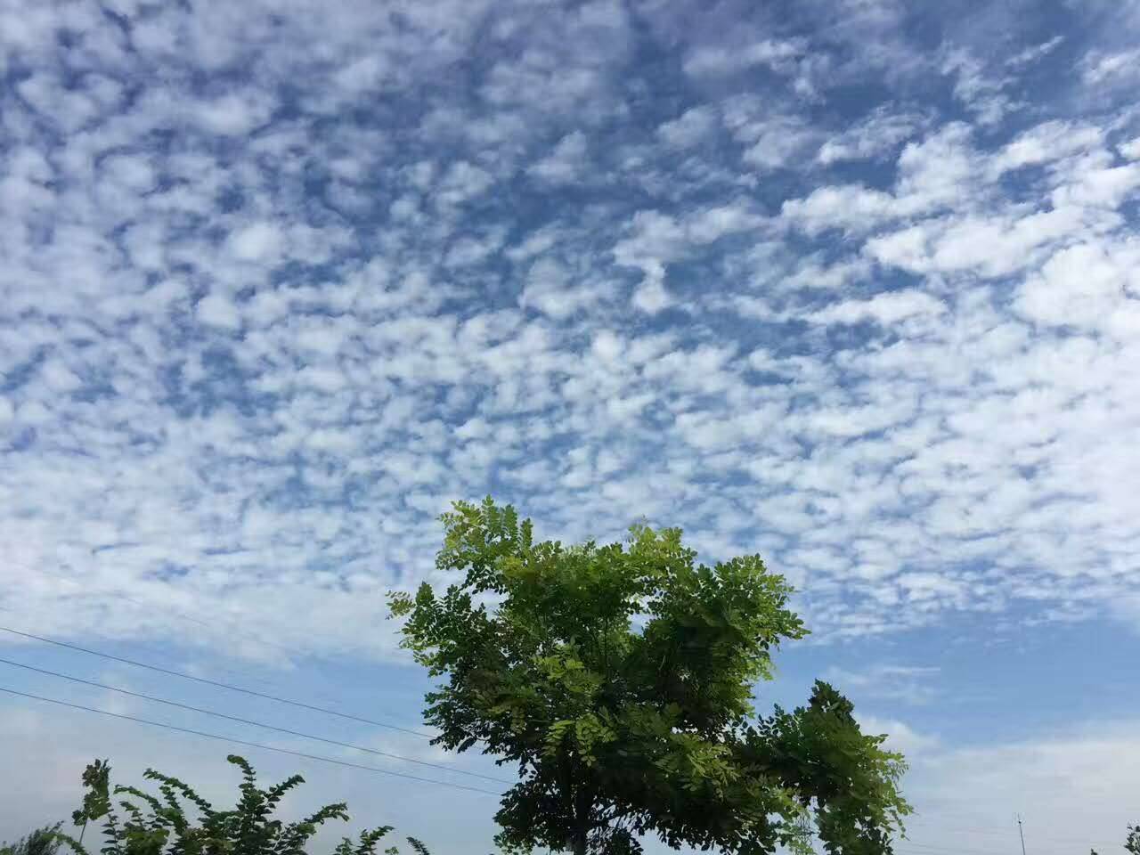 雨停了天晴了今天的天空美炸了