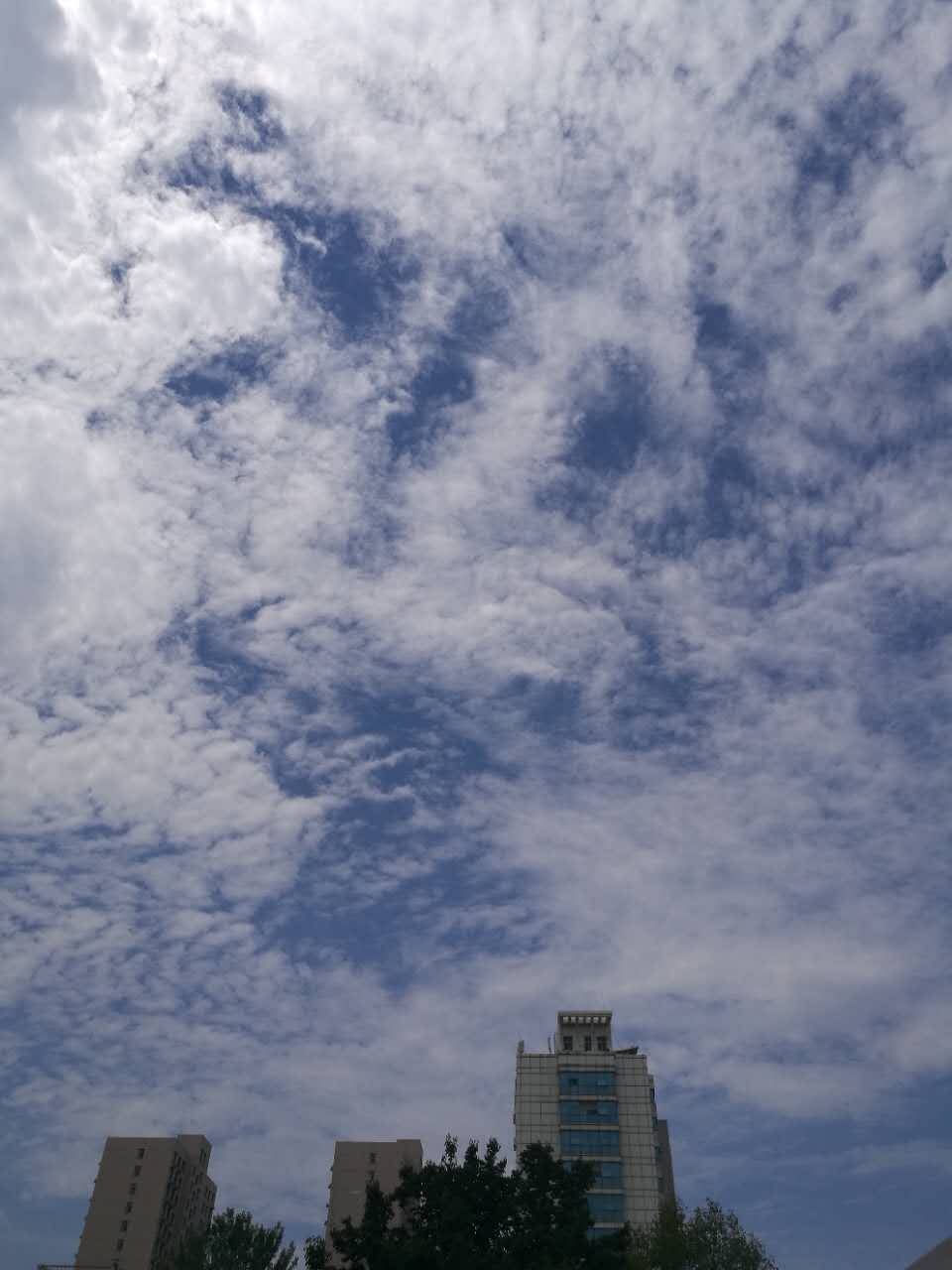 雨停了天晴了今天的天空美炸了