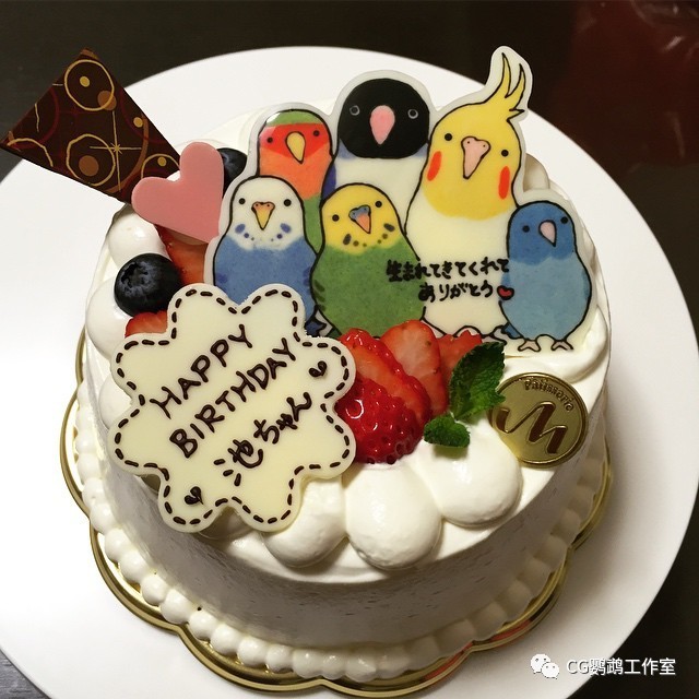 给鸟过生日怎么吃