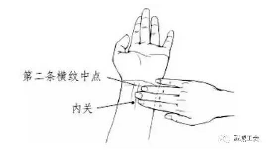 方法:内关穴位于前臂掌侧,当曲泽与大陵的连线上,腕横纹上2寸,掌长