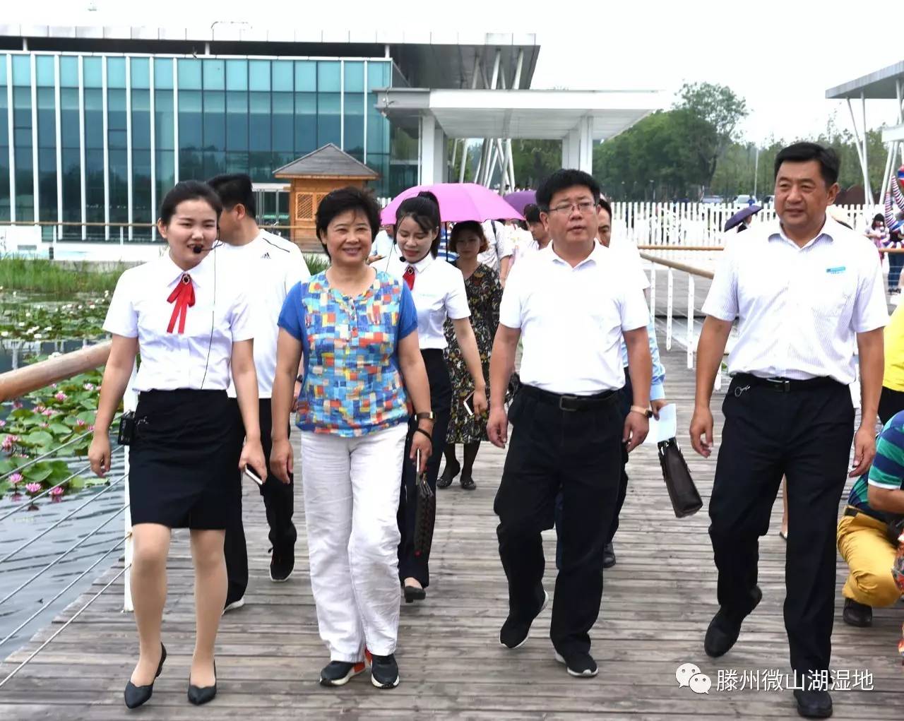 滕州微山湖湿地付军艾百灵李培永到微山湖湿地公园调研