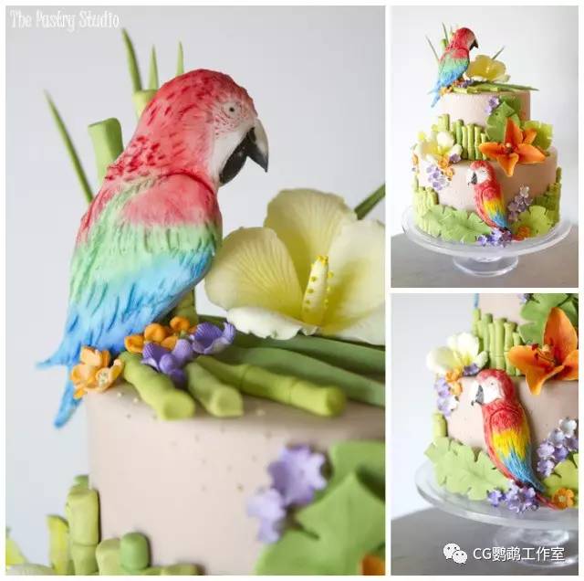 给鸟过生日怎么吃