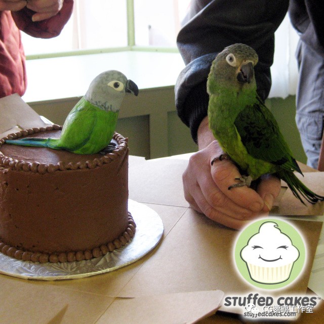 给鸟过生日怎么吃