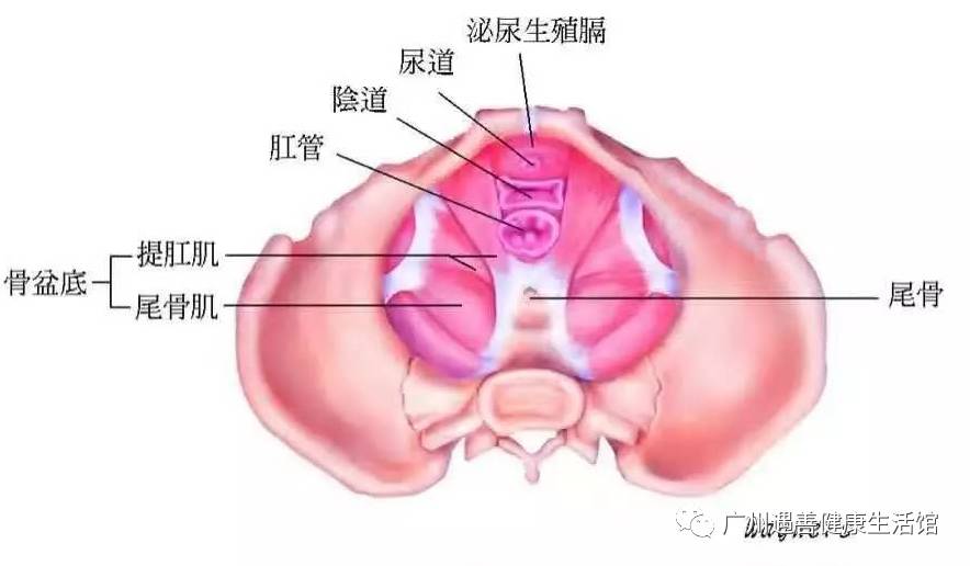 您好,我的阴道口会阴里侧长了两个小疙瘩 很痒 同房完