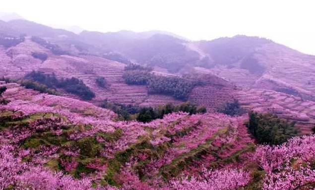 壶镇镇和美村,左库村 →前路乡南弄村;东渡镇桃花岭 →东渡镇小仙都