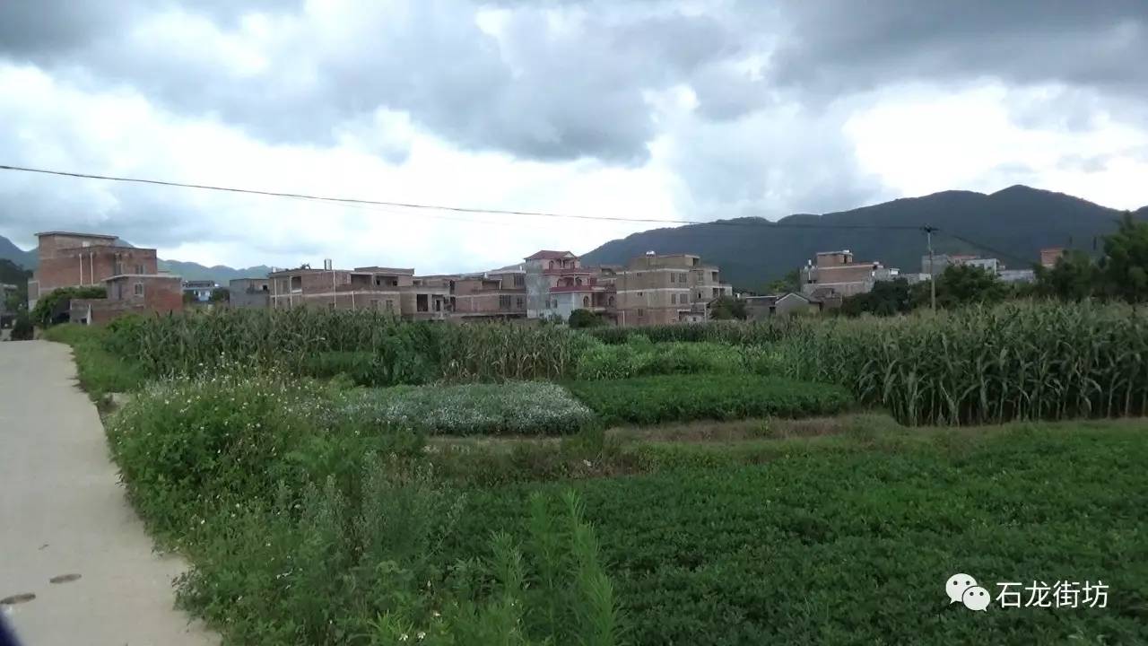 家乡美桂平市石龙镇平安村