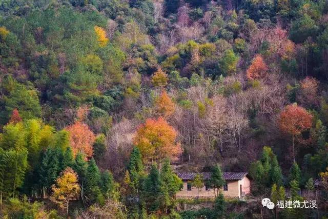 汤川乡人口_尤溪汤川乡光明村