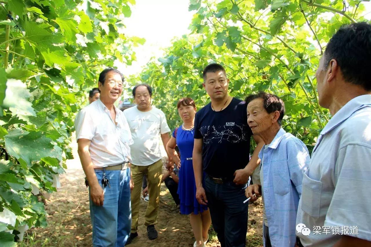 张炳辉带领技术和销售团队,顶着烈日,马不停蹄的又来到大荔县双泉镇北