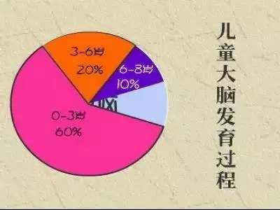 1. 大脑在最初几年的发育速度最快.