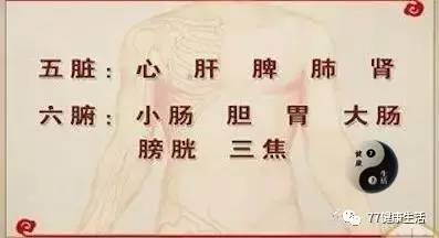 言什么意赅成语_成语故事简笔画(2)