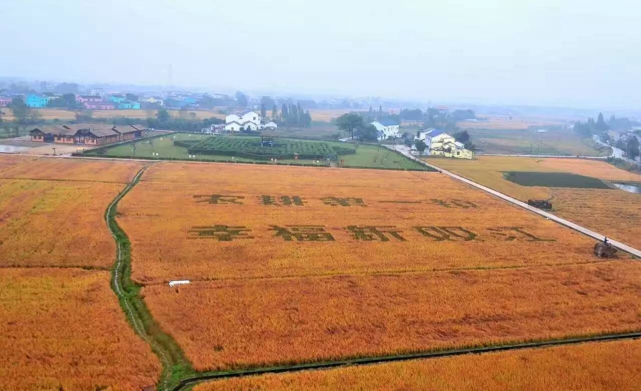 沩山乡人口_沩山风景名胜区图片(3)