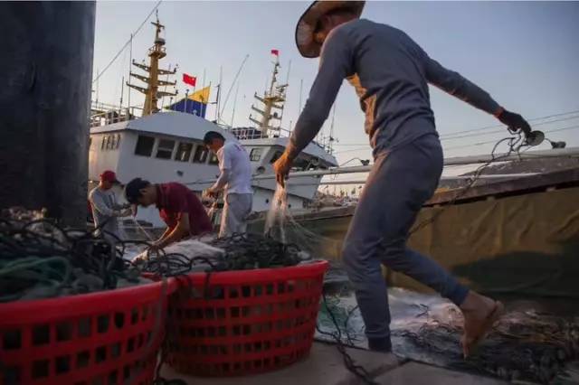 桁杆拖虾渔船的作业对象主要是 虾类水产品,笼壶类渔船以诱捕有钻穴