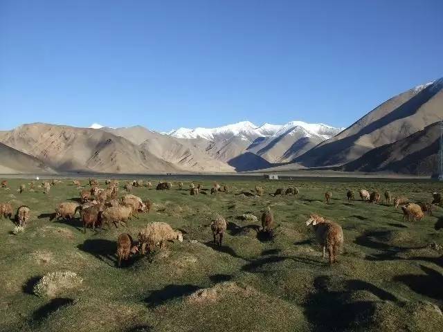 靖远哈思山胜景,美艳极了