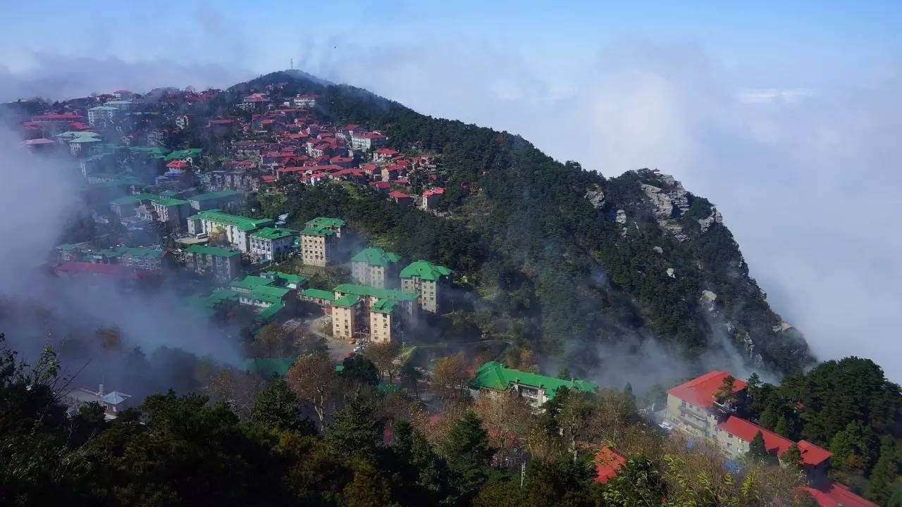 8月最美乡村婺源,5a级世界遗产地—庐山,中国瓷都景德镇品质四日游798