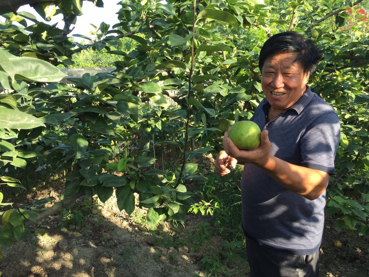 冠梨,还有许多像陆慧慧,朱锡昌这样的人,奔走在基层一线……而农民们